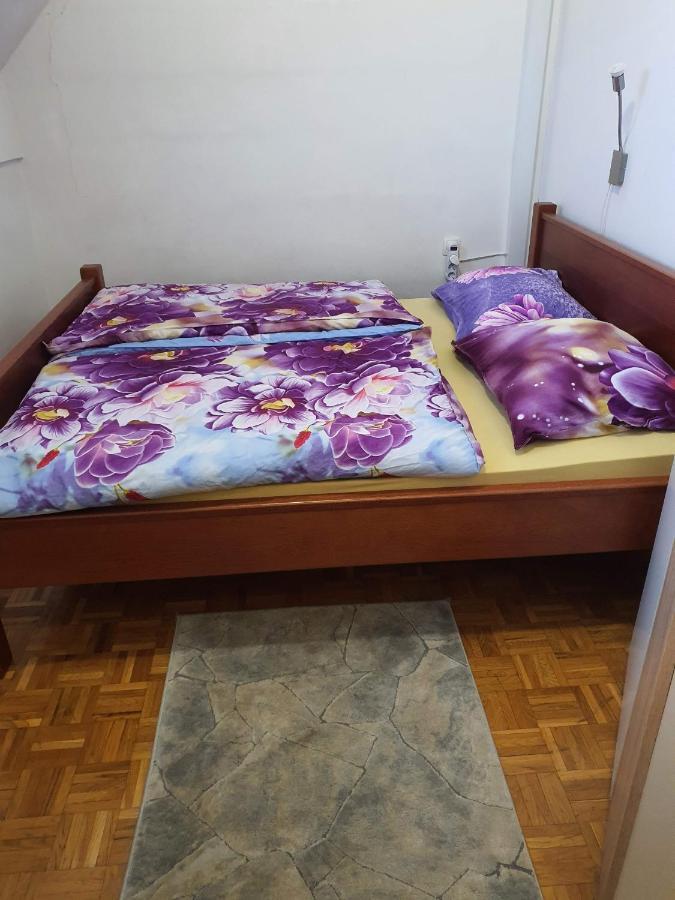 Terme Catez Apartma Nine Чатеж-об-Сави Экстерьер фото