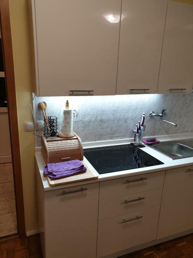 Terme Catez Apartma Nine Чатеж-об-Сави Экстерьер фото